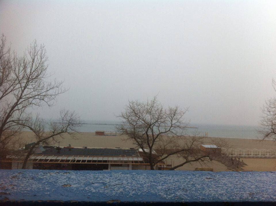 FOTO. NINGE la Constanța!