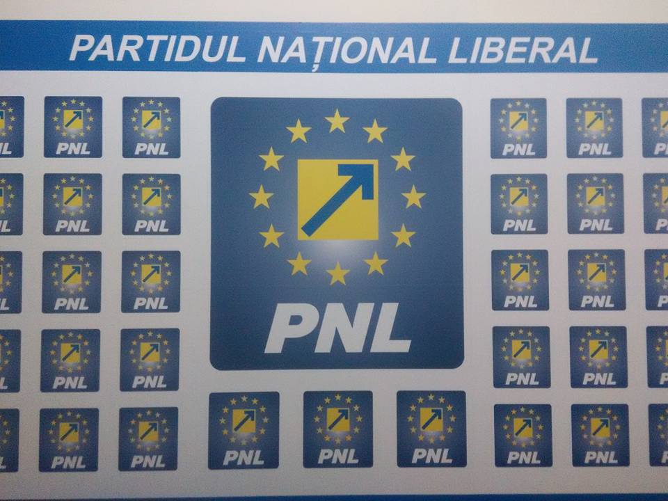 PNL va pleda pentru invalidarea mandatului de deputat al lui Dragnea