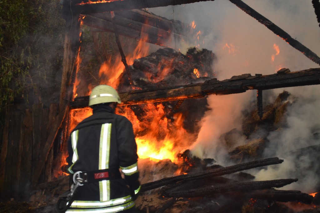 VIDEO Incendii de bandă rulantă la Tulcea. Ce spun pompierii