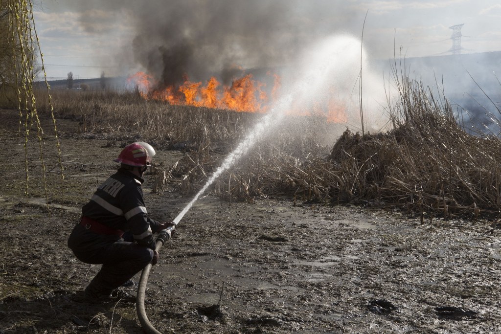 Zeci de hectare de stuf mistuite de flăcări în județul TULCEA