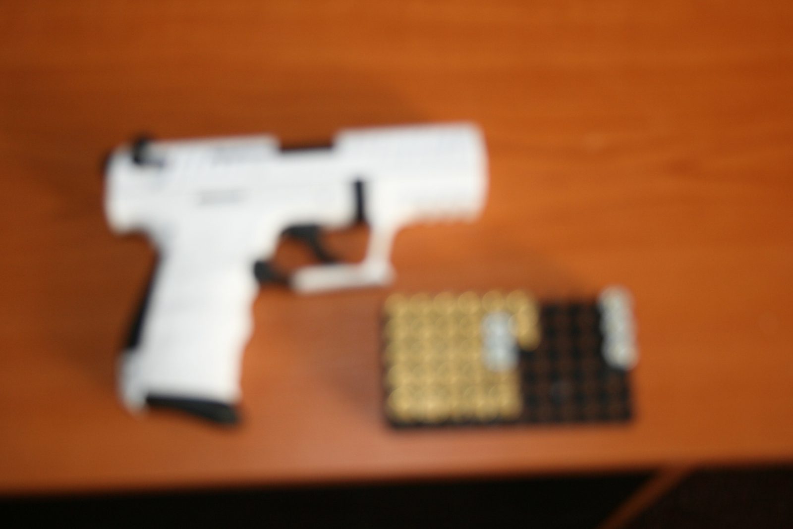 TULCEA: Un pistol și mai multe cartușe, ridicate în urma unor percheziții