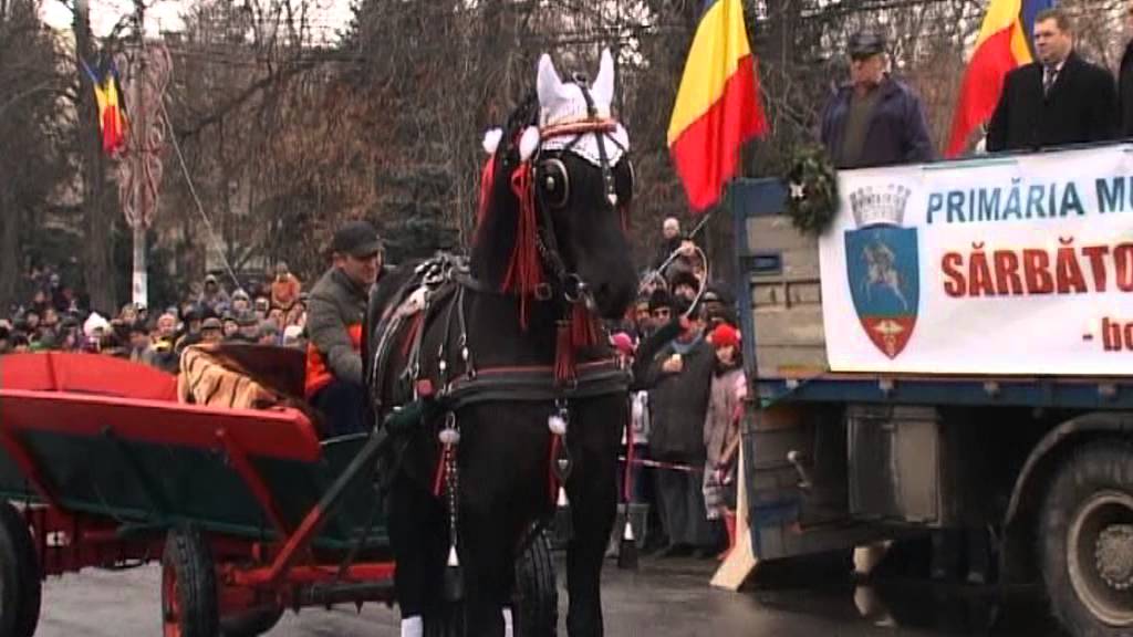 Boboteaza la CĂLĂRAȘI