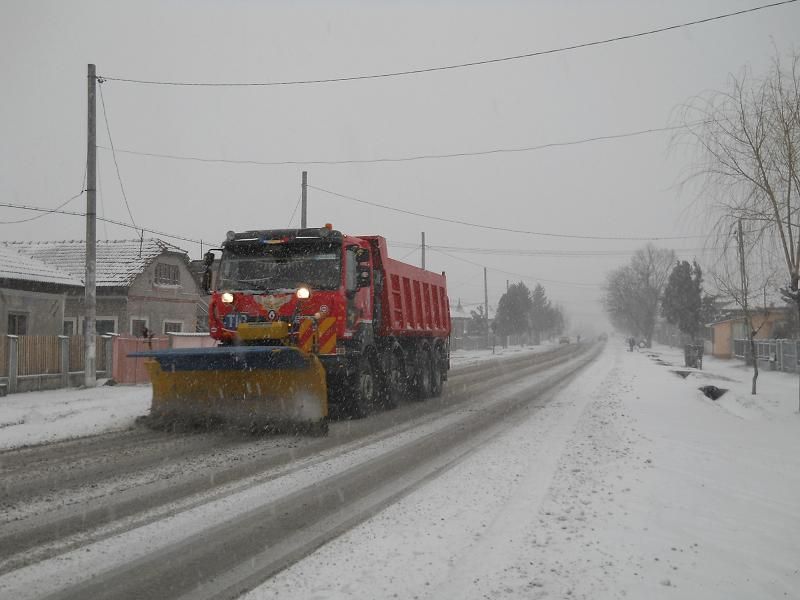 SE ÎNTORC NINSORILE: Primăriilor din județul CONSTANȚA li se cere să ia măsuri