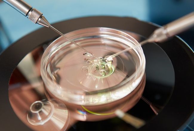 Eroare GRAVĂ la o clinică de fertilitate