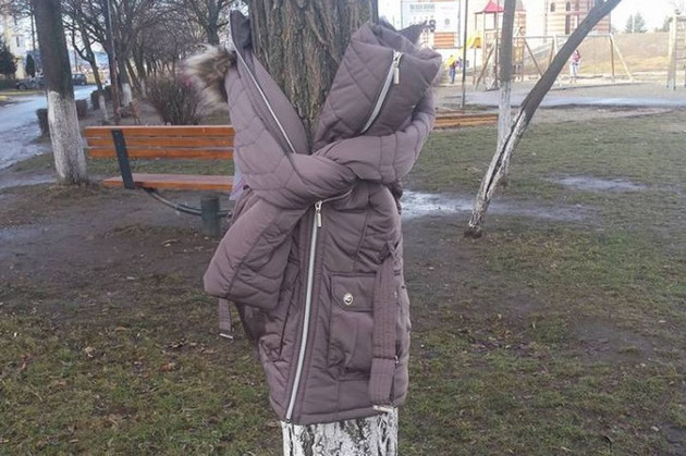 Haine groase puse în copaci pentru persoanele fără adăpost