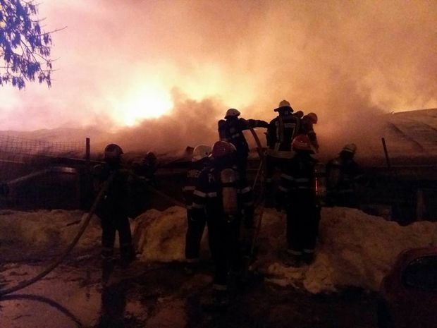 VIDEO – Distrugere din culpă și vătămare corporală: Audieri maraton în cazul incendiului din BAMBOO