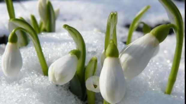 Ce surprize ne mai rezervă VREMEA: Meteorologii estimează valori termice NORMALE pentru perioada februarie-aprilie