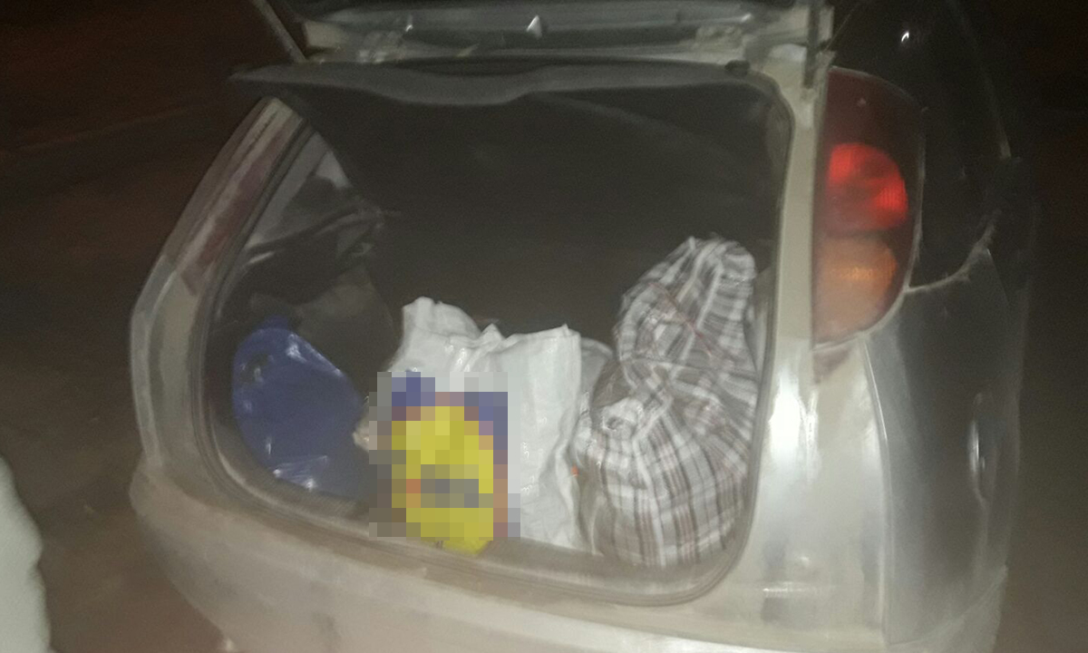 TULCEA/FOTO: Pește și icre de contrabandă. Rezultatul, un dosar penal