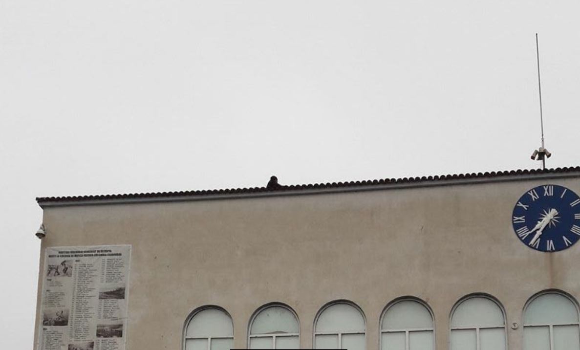FOTO/CERNAVODĂ: O persoană amenință că se aruncă de pe sediul primăriei