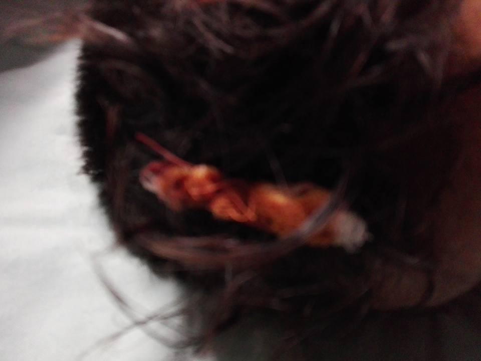 TECHIRGHIOL: Copil MUTILAT de un câine abandonat de stăpân