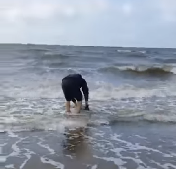 VIDEO – Pui de delfin, SALVAT de pe plaja de la Eforie
