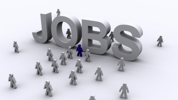 TULCEA: Peste 1.800 de locuri vacante pentru cei care vor să muncească în străinătate
