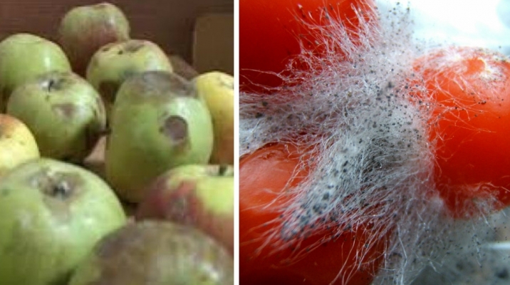 Fructe şi legume MUCEGĂITE, de vânzare în supermarketuri