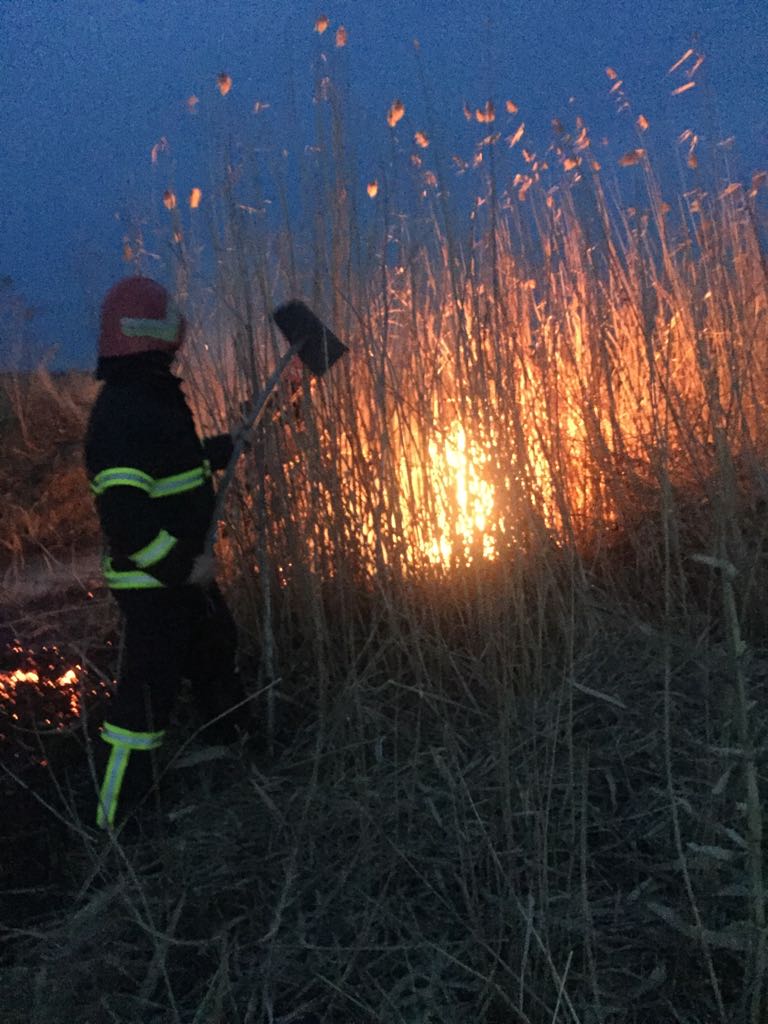 Incendiu de vegetație în apropiere de Malcoci