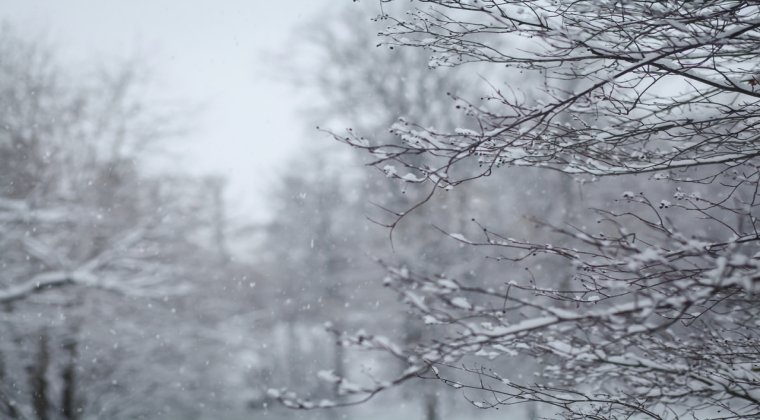 Precipitații mixte în Dobrogea, ninsori în țară