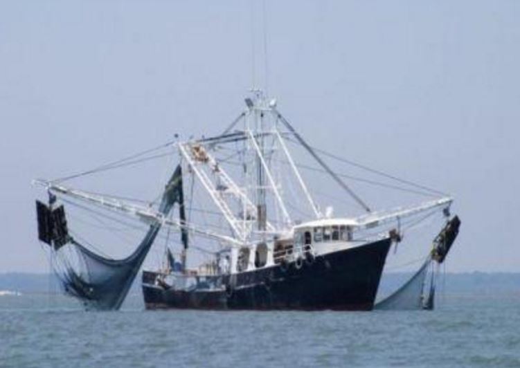 CE: România NU a respectat principiul accesului egal la resursele piscicole din MAREA NEAGRĂ