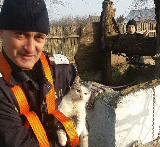 FOTO: Județul CONSTANȚA – Felina Caty, salvată din fântână