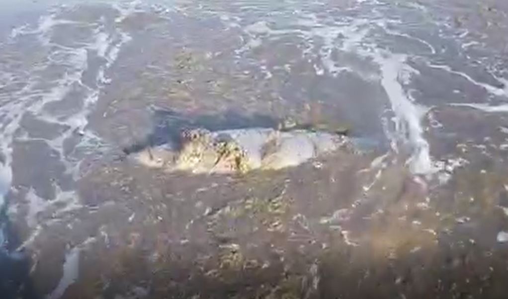 MAMAIA. Obiectul aeronautic găsit pe plajă este un motor de rachetă