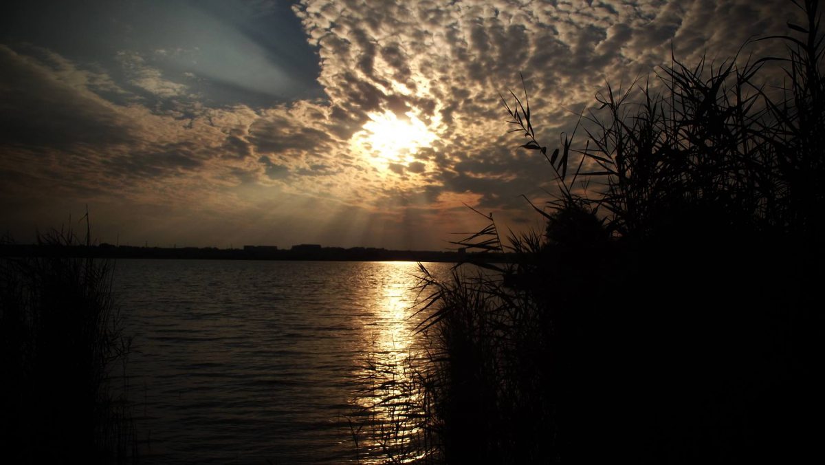 Soarele își face din nou apariția, de mâine, peste Dobrogea