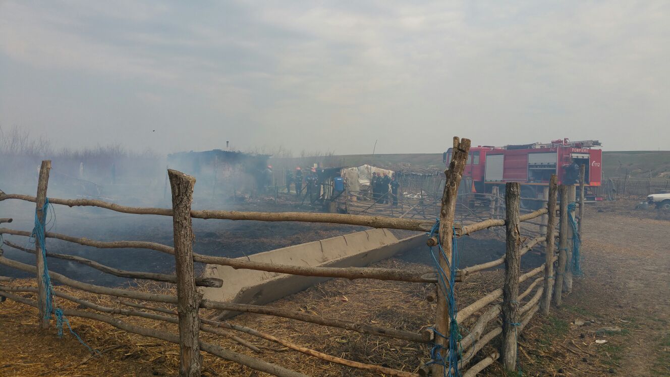 UPDATE/FOTO – TOPALU: Un grajd a fost cuprins de flăcări. Zeci de animale au murit carbonizate