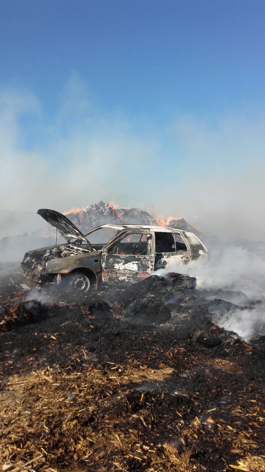 FOTO/Incendiu puternic lângă HÂRȘOVA: Un autoturism și tone de furaje s-au făcut scrum!