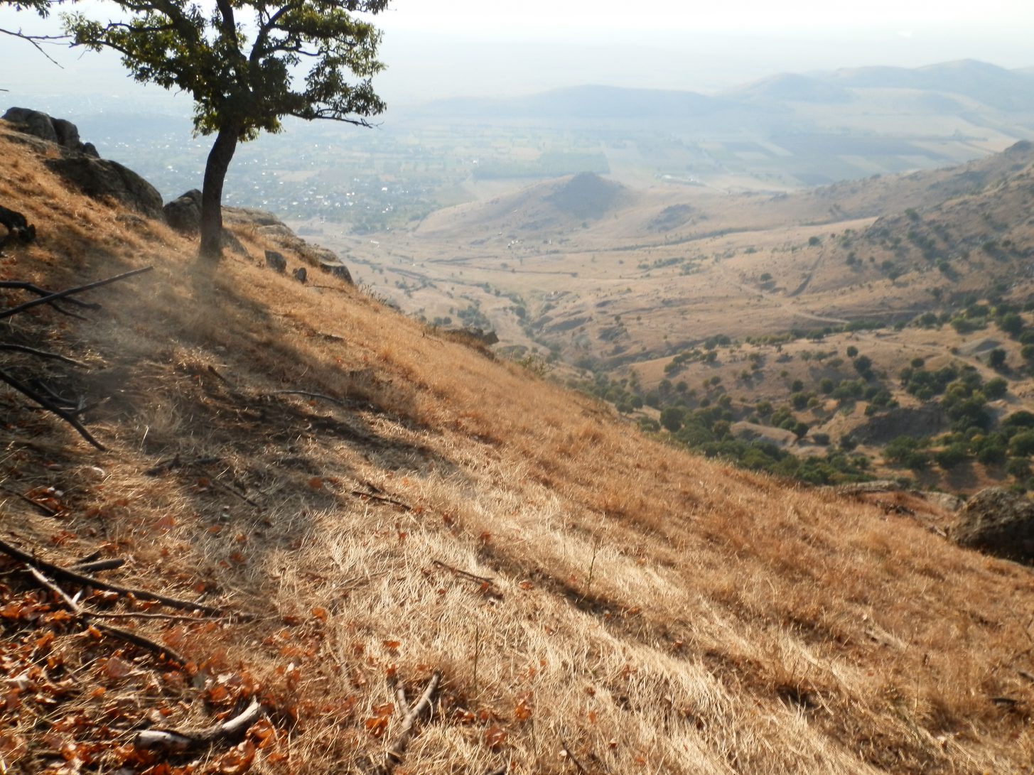 FOTO: Ghiocelul – prima aromă de primăvară din Munții Măcin