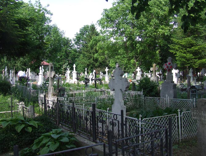 Județul Constanța: MORT în sicriu, găsit ABANDONAT lângă cimitir