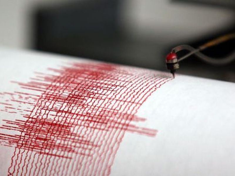 Cutremur semnificativ în zona seismică Vrancea