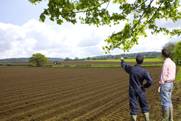 Fonduri nerambursabile pentru tinerii fermieri din DOBROGEA
