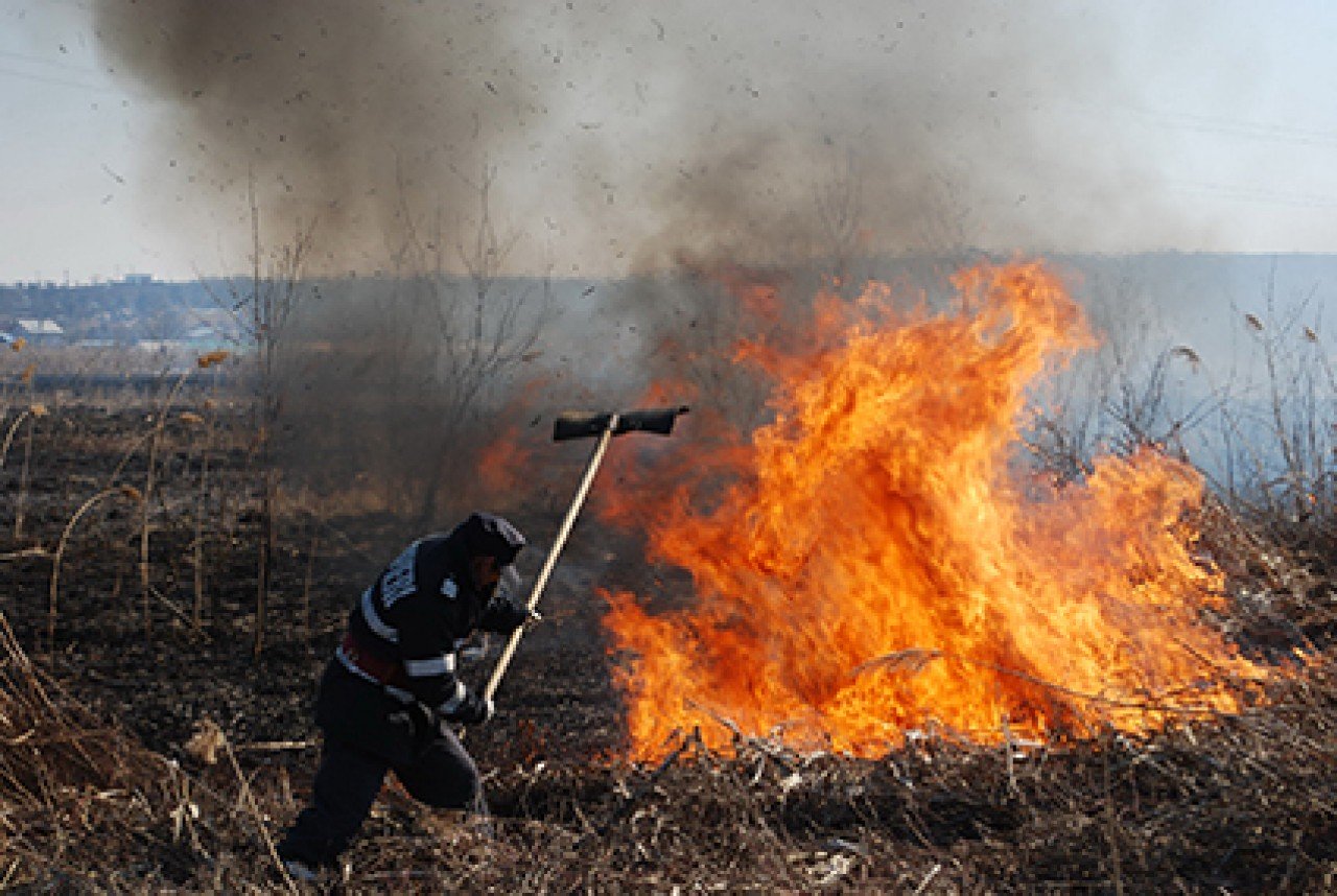 NICULIȚEL: Un incendiu amenință să se extindă la o cultură de vie