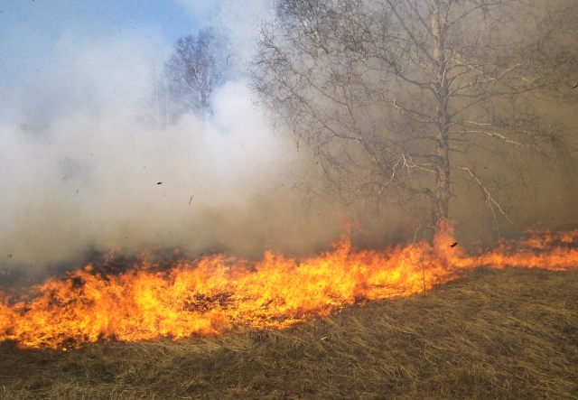 Incendiu la TULCEA! Vântul poate înteți flăcările!