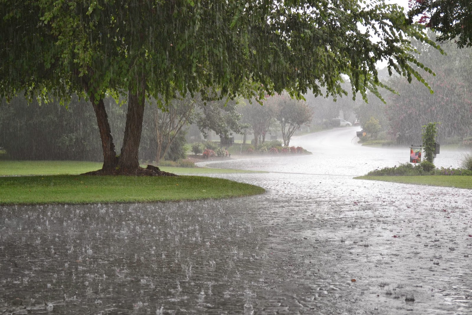 Informare meteo de ploi și vânt, valabilă pentru toată țara
