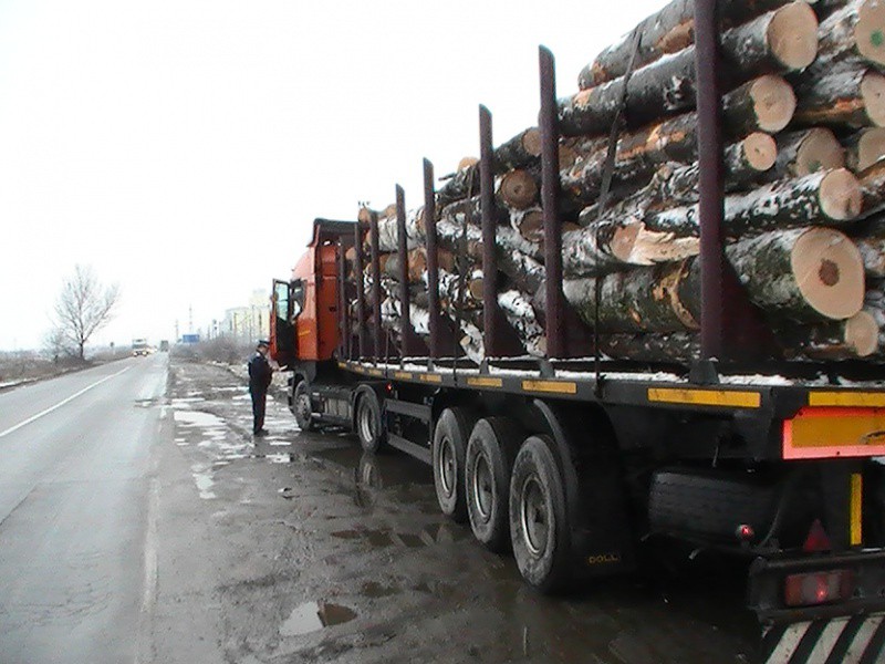 Valu lui Traian: Șofer de TIR, prins că transporta ilegal lemne