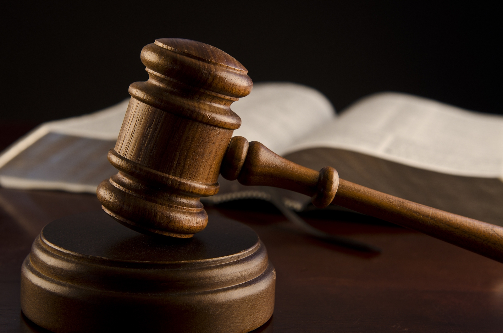 TULCEA: Bărbat condamnat la închisoare cu EXECUTARE deoarece a omorât un câine