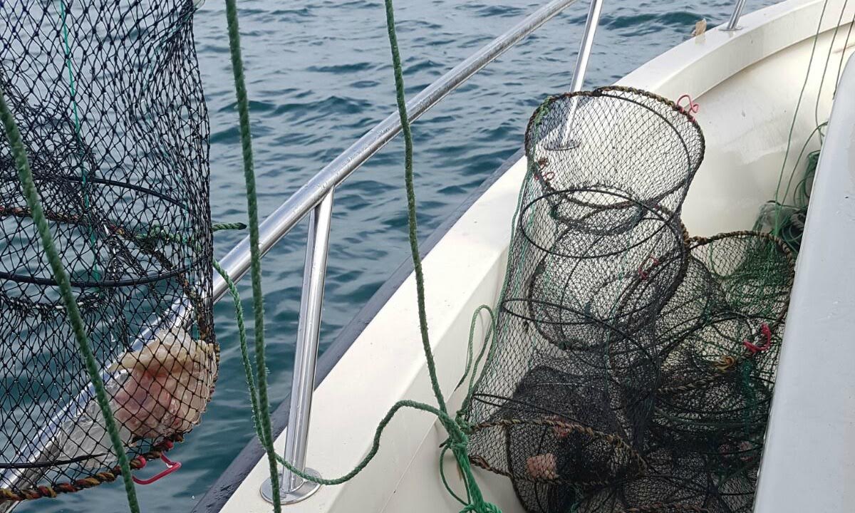 Mai multe cuşti de pescuit au fost descoperite de polițiștii de frontieră în Marea Neagră