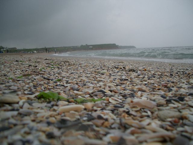 Vremea se menține mohorâtă în Dobrogea