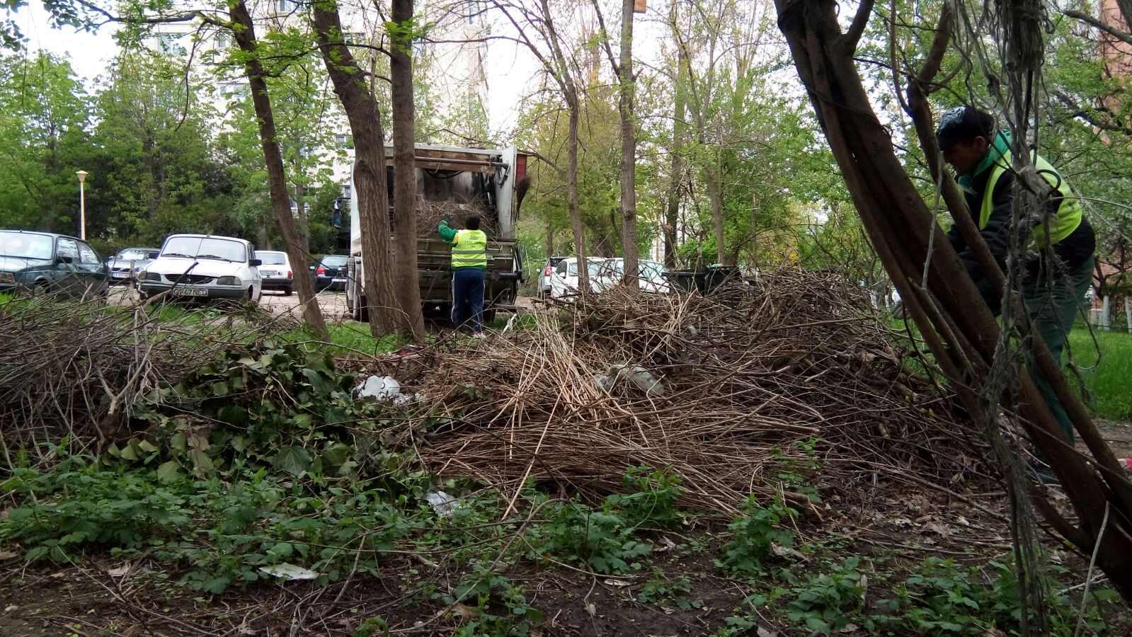 FOTO/Primăria Constanța a început curățenia de primăvară