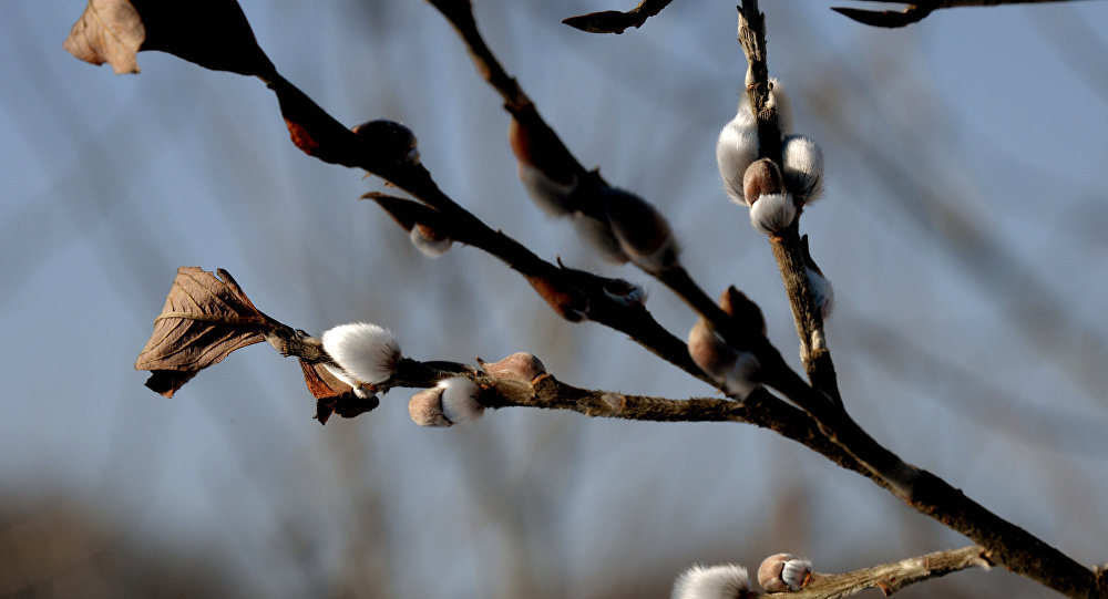 Cum va fi vremea astăzi în Dobrogea