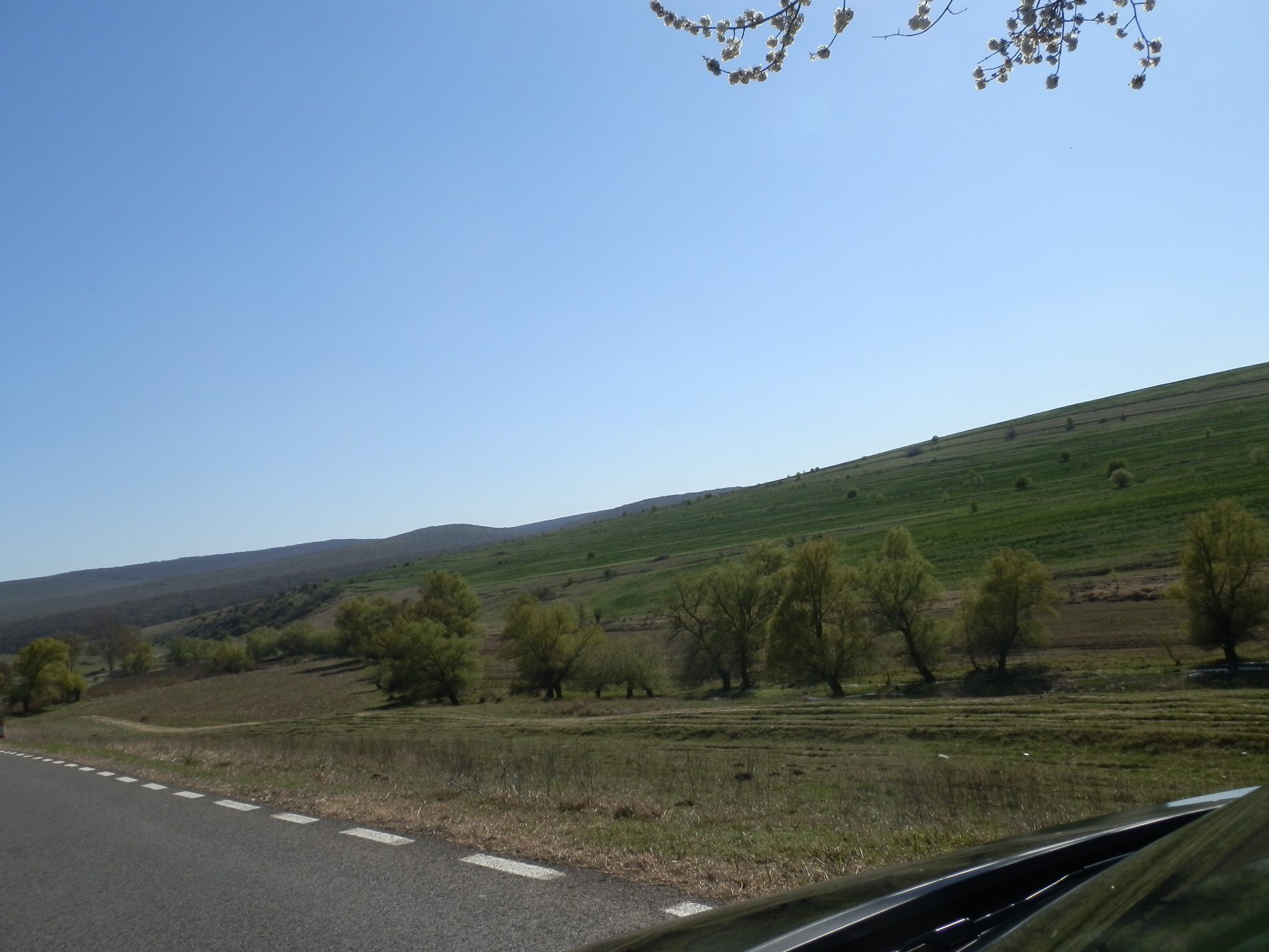 TULCEA: Agricultură ecologică la poalele Munților Măcin