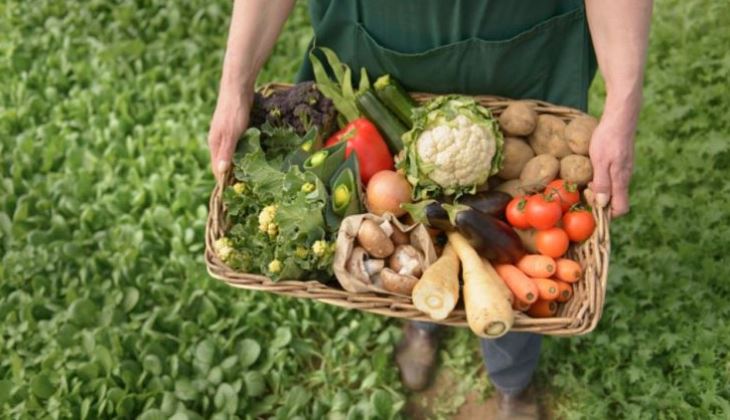 Judeţul Tulcea rămâne lider la capitolul agricultură ecologică