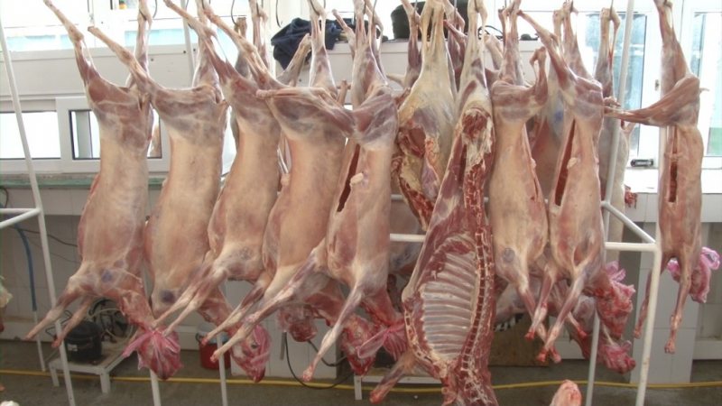 CONSTANȚA: Carnea de miel s-a scumpit anul acesta. Producătorii spun că nu își acoperă cheltuielile