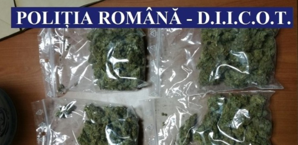 NĂVODARI: Doi bărbați au fost depistați cu droguri