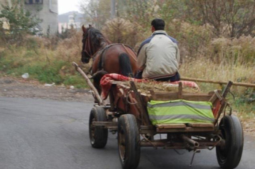 S-a ales cu DOSAR PENAL după ce și-a bătut calul