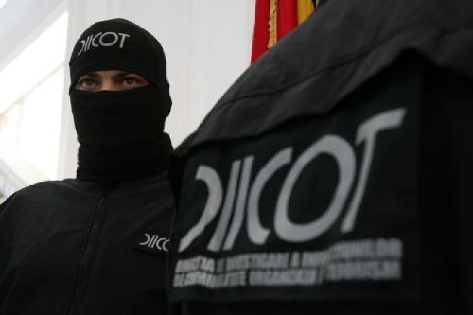 ”Tabloul” de Picasso de la Tulcea, subiect de dosar penal