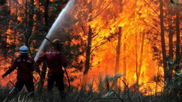 Incendiile de vegetație uscată fac prăpăd în Munții Apuseni