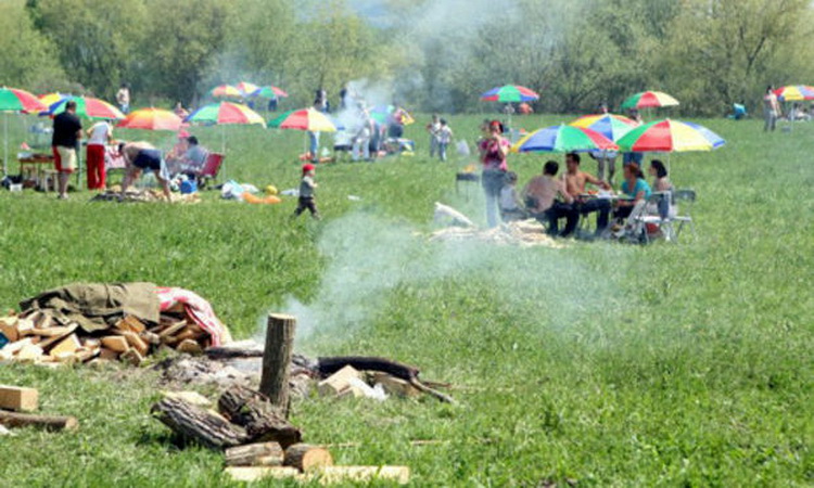 Zonele de picnic, SUPRAVEGHEATE de Garda de Mediu