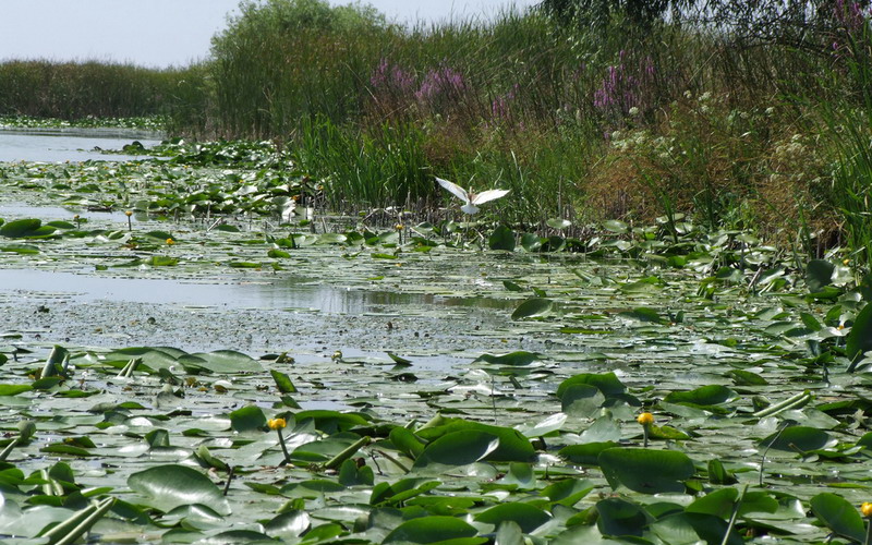 Timp frumos în DOBROGEA