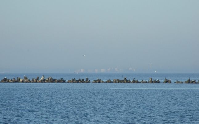 Soarele se luptă cu ceața, în DOBROGEA