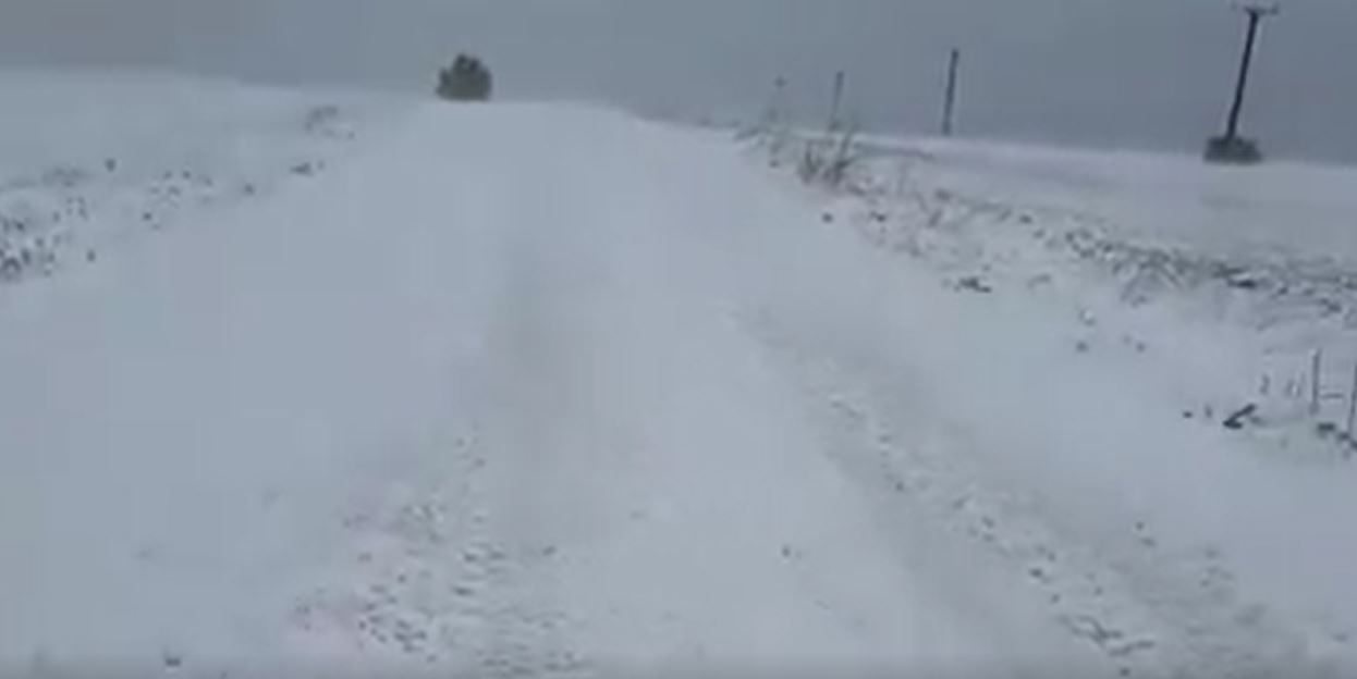 VIDEO/Trafic îngreunat: Ninge viscolit în CONSTANȚA și TULCEA!