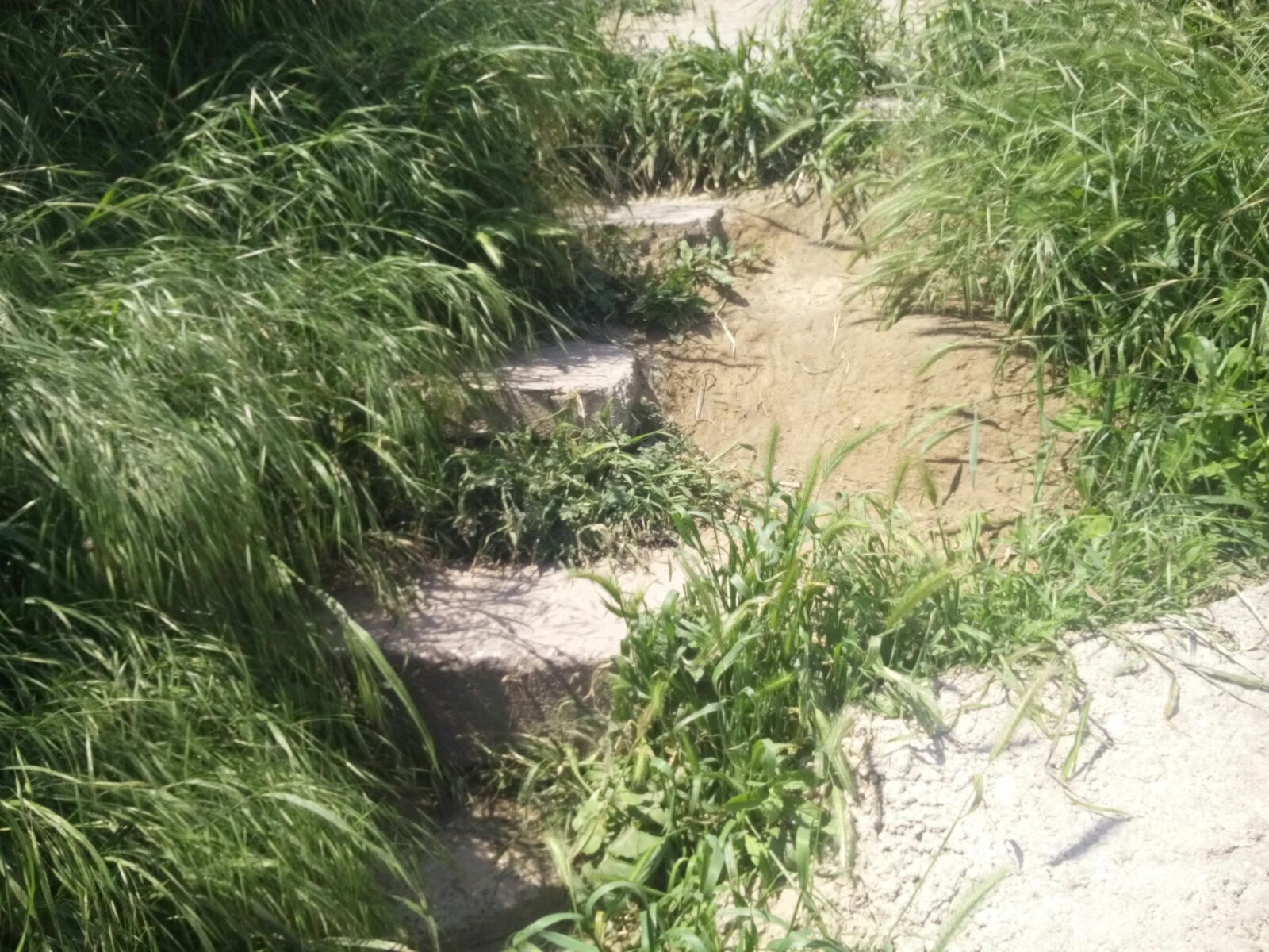 FOTO – Coborârea treptelor pe plaja Trei Papuci – un test de rezistență
